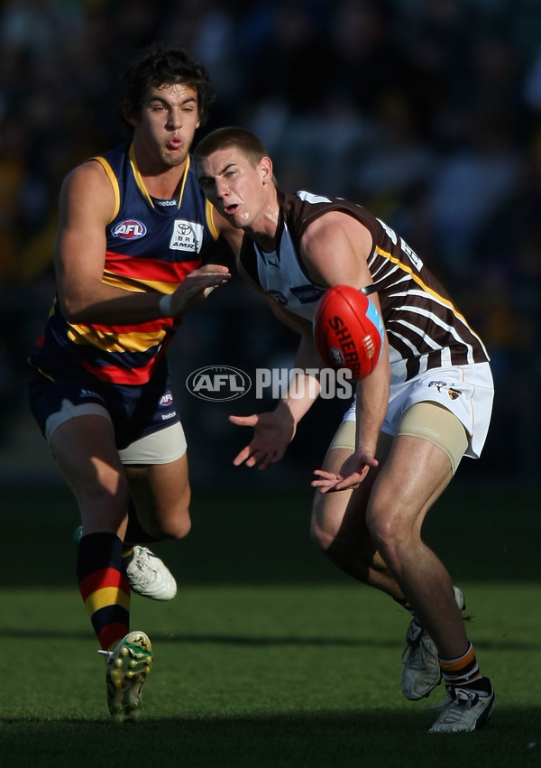 AFL 2010 Rd 12 - Hawthorn v Adelaide - 210218