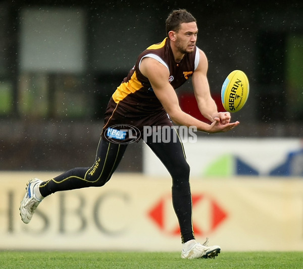 AFL 2010 Training - Hawthorn 170610 - 210615