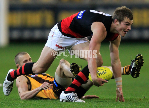 AFL 2010 Rd 13 - Hawthorn v Essendon - 210712