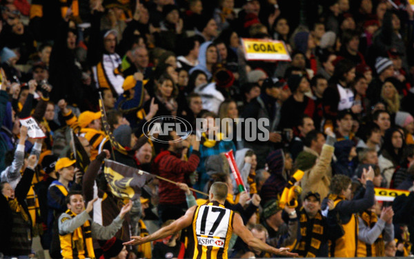 AFL 2010 Rd 13 - Hawthorn v Essendon - 210729