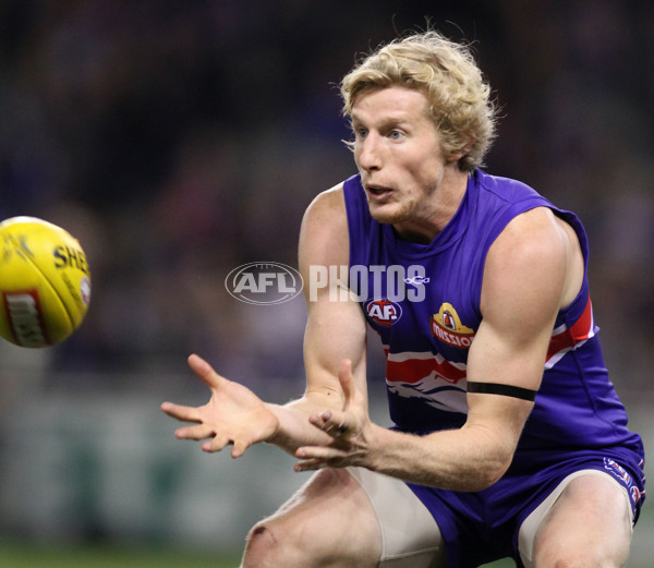 AFL 2011 Rd 15 - Western Bulldogs v Melbourne - 235424