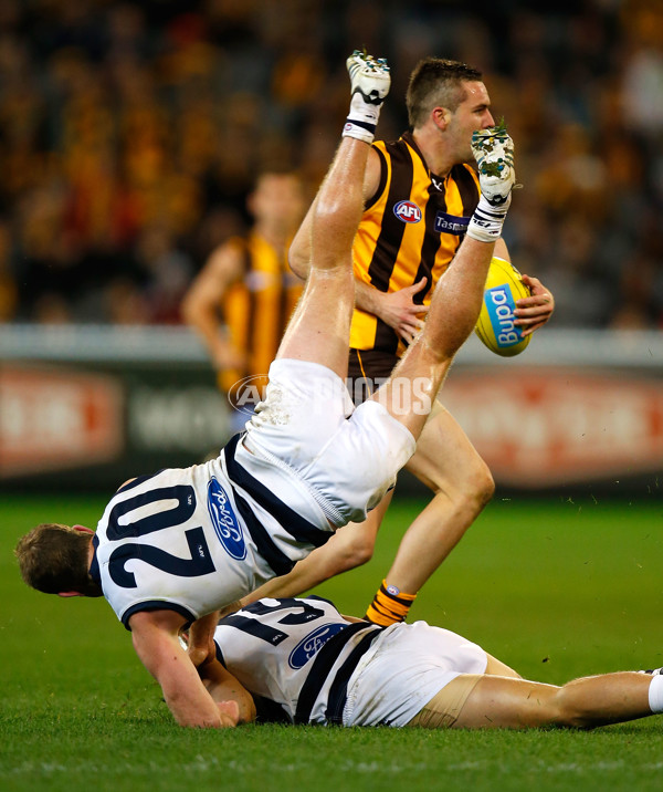 AFL 2012 Rd 19 - Hawthorn v Geelong - 265630