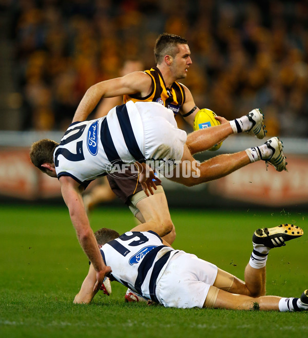 AFL 2012 Rd 19 - Hawthorn v Geelong - 265628