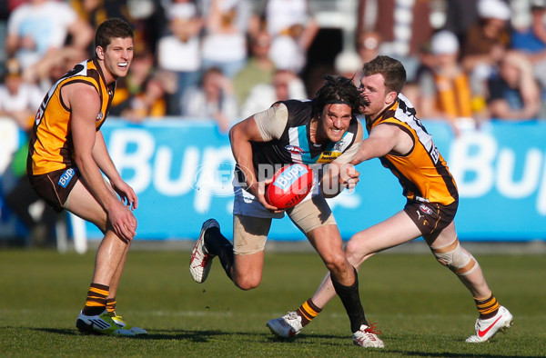 AFL 2012 Rd 20 - Hawthorn v Port Adelaide - 266786