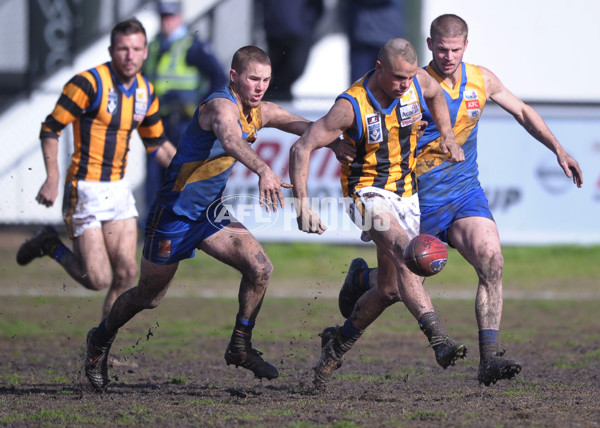 VFL 2012 Rd 21- Williamstown v Sandringham - 267294