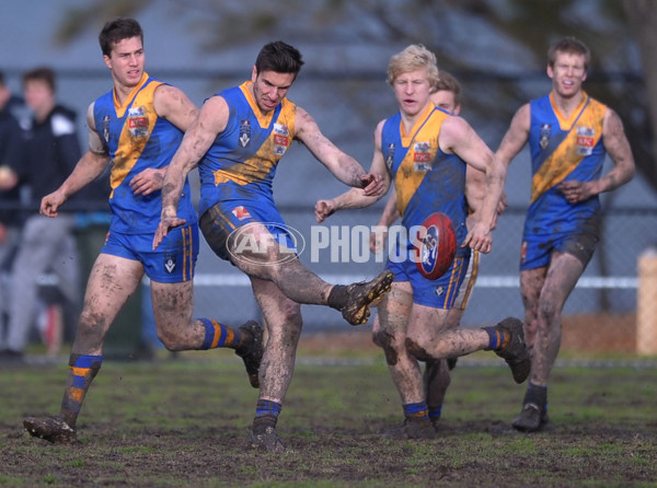 VFL 2012 Rd 21- Williamstown v Sandringham - 267305