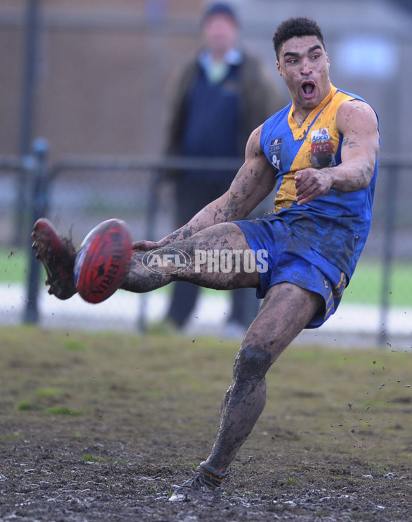 VFL 2012 Rd 21- Williamstown v Sandringham - 267303