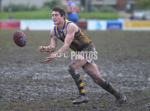 VFL 2012 Rd 21- Williamstown v Sandringham - 267315