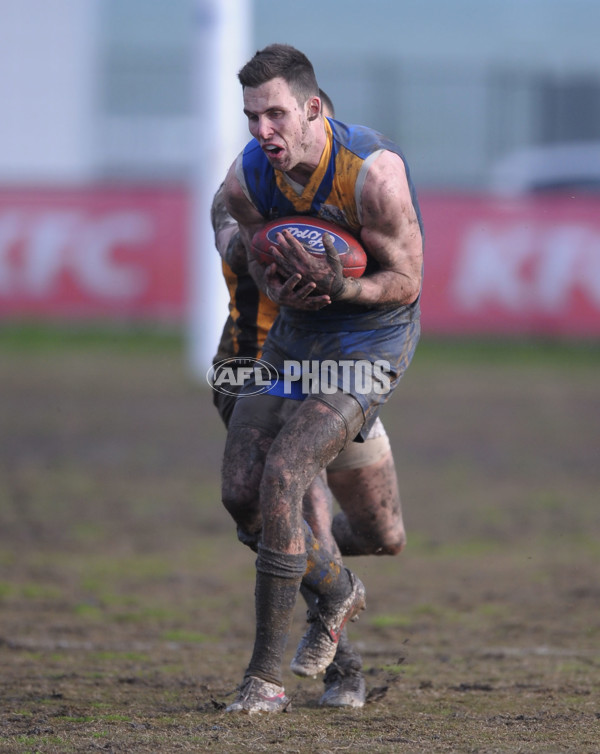 VFL 2012 Rd 21- Williamstown v Sandringham - 267309