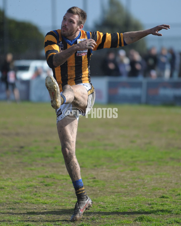 VFL 2012 Rd 21- Williamstown v Sandringham - 267312