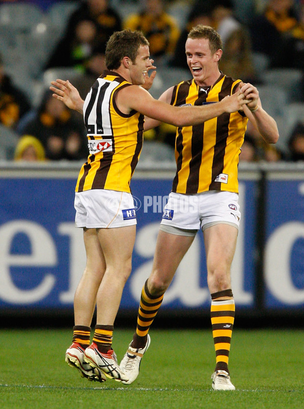 AFL 2009 Rd 21 - Richmond v Hawthorn - 192548