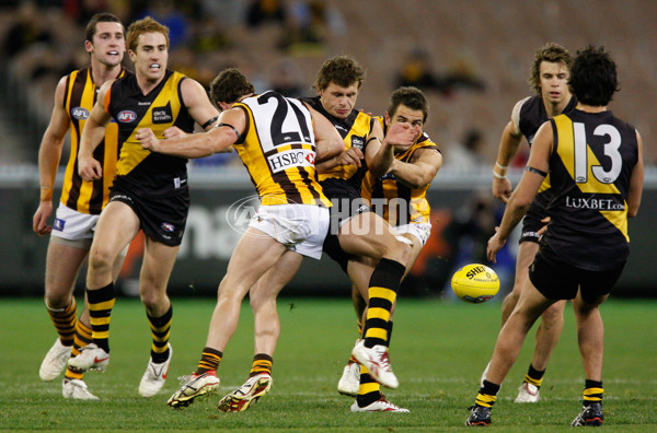 AFL 2009 Rd 21 - Richmond v Hawthorn - 192579