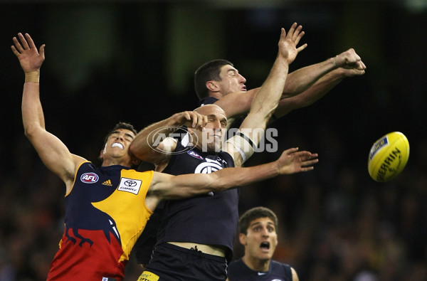 AFL 2009 Rd 22 - Carlton v Adelaide - 193154