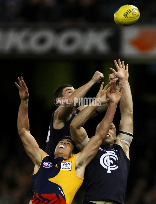 AFL 2009 Rd 22 - Carlton v Adelaide - 193156