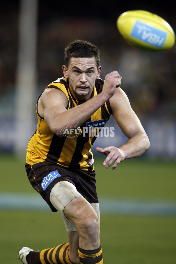 AFL 2010 Rd 14 - Hawthorn v Western Bulldogs - 211879