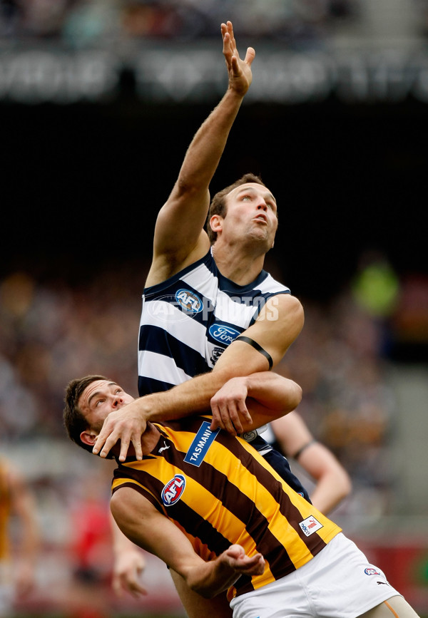 AFL 2010 Rd 15 - Geelong v Hawthorn - 212611