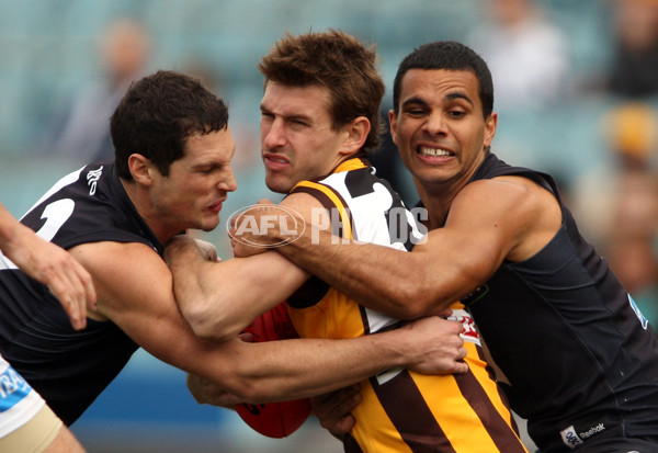 AFL 2010 Rd 18 - Port Adelaide v Hawthorn - 214268