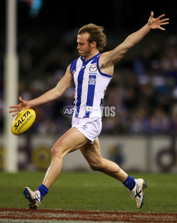 AFL 2010 Rd 18 - Western Bulldogs v North Melbourne - 214381