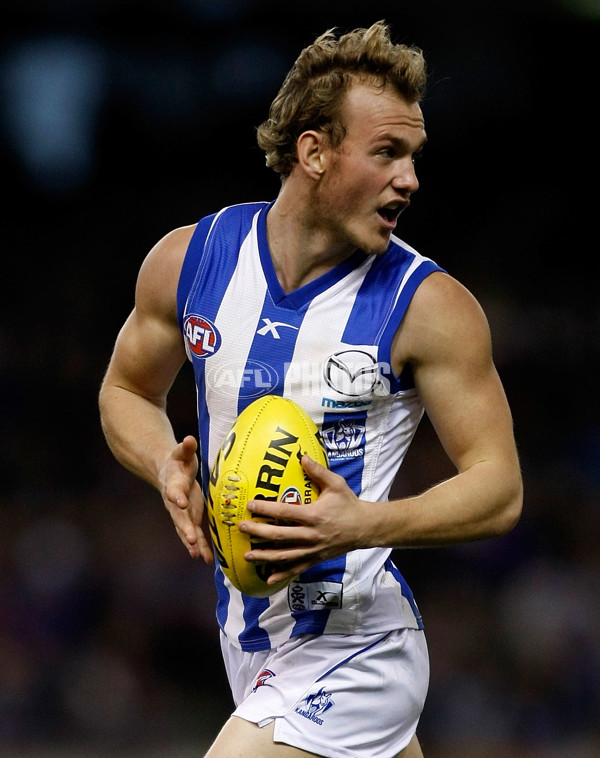 AFL 2010 Rd 18 - Western Bulldogs v North Melbourne - 214467