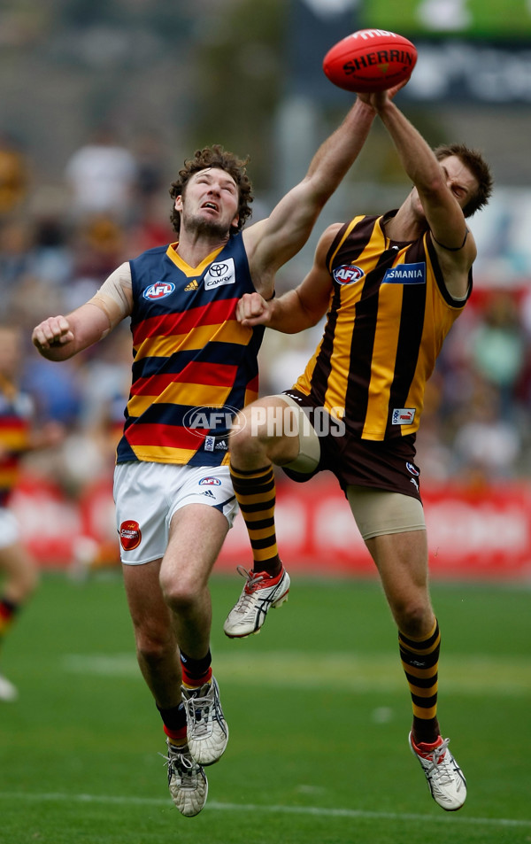 AFL 2008 Rd 04 - Hawthorn v Adelaide - 130458