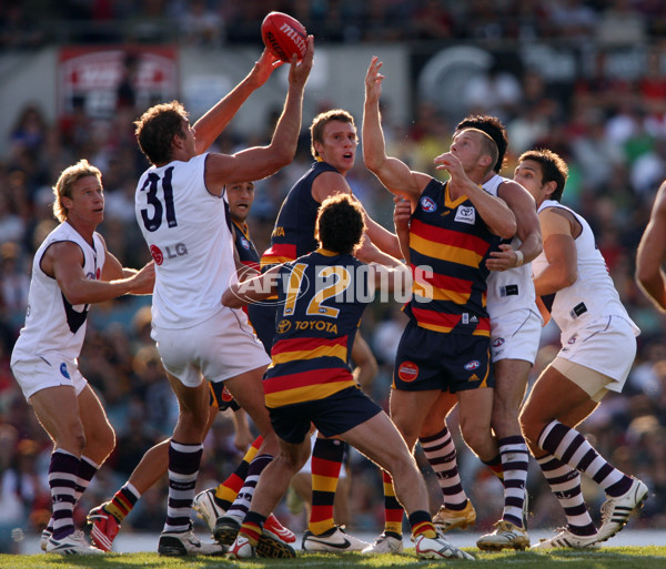 AFL 2008 Rd 05 - Adelaide v Fremantle - 136595