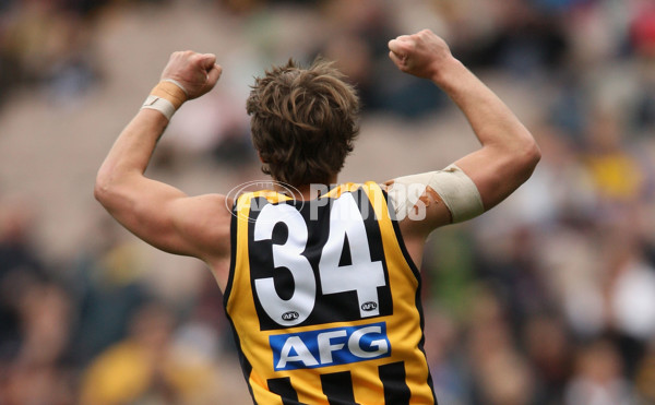AFL 2008 Rd 14 - Richmond v Carlton - 153491