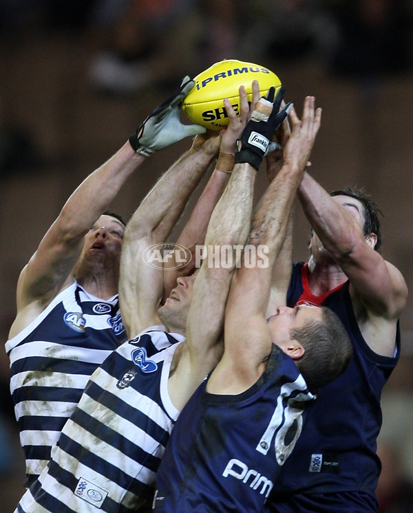 AFL 2008 Rd 19 - Melbourne v Geelong - 156849