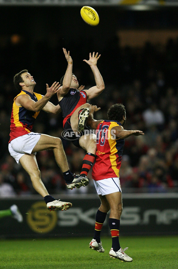 AFL 2008 Rd 20 - Essendon v Adelaide - 157485