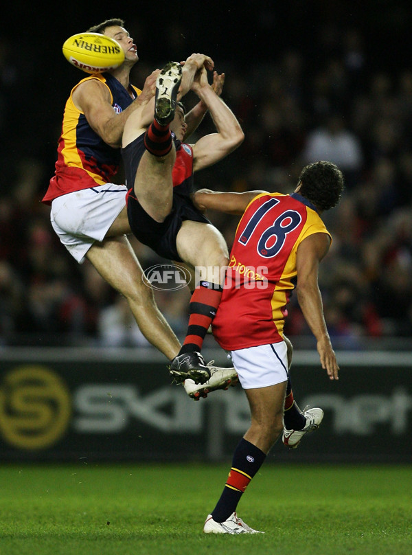 AFL 2008 Rd 20 - Essendon v Adelaide - 157481