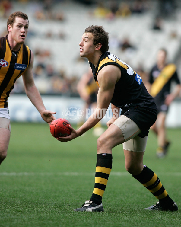 AFL 2008 Rd 20 - Richmond v Hawthorn - 157627