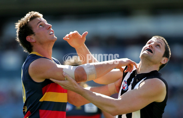 AFL 2008 1st Elimination Final - Adelaide v Collingwood - 159561