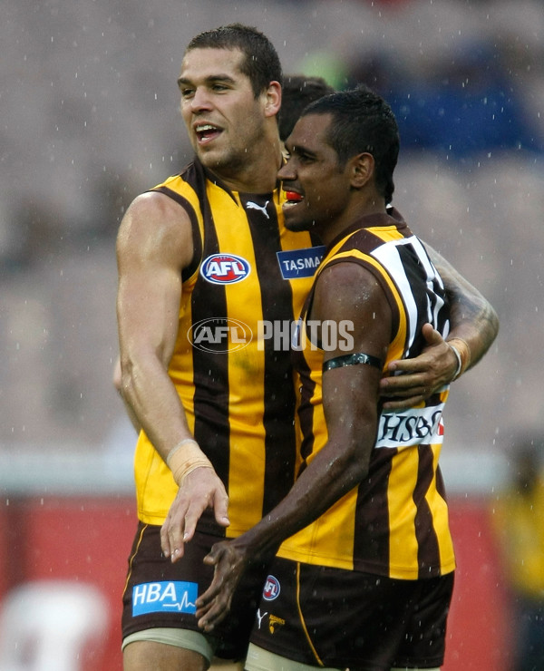 AFL 2010 Rd 20 - Hawthorn v Melbourne - 215447