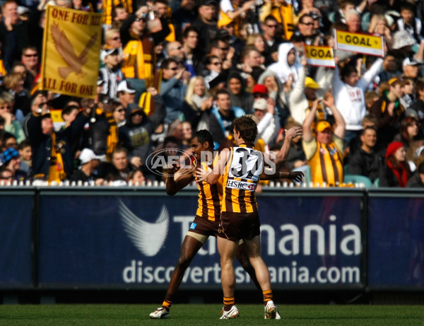 AFL 2010 Rd 22 - Hawthorn v Collingwood - 216291