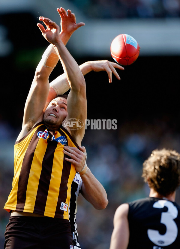 AFL 2010 Rd 22 - Hawthorn v Collingwood - 216479