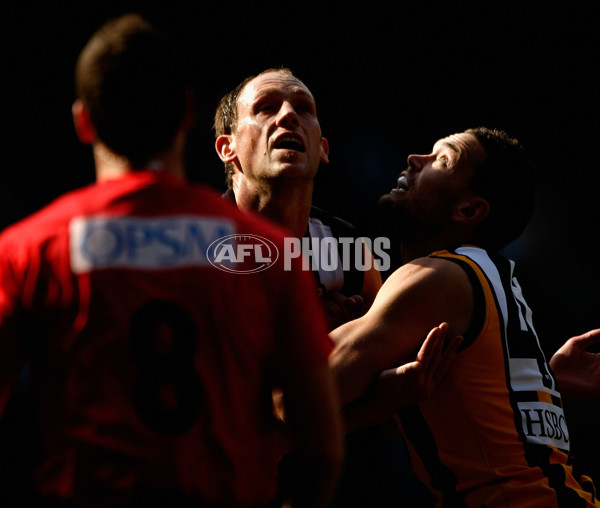 AFL 2010 Rd 22 - Hawthorn v Collingwood - 216475