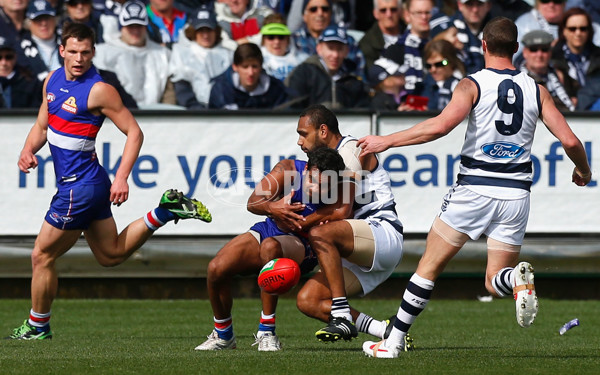 AFL 2012 Rd 22 - Geelong v Western Bulldogs - 268276