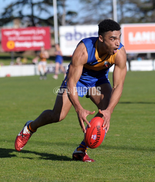 VFL 2012 1st Elimination Final - Williamstown v Bendigo - 268615