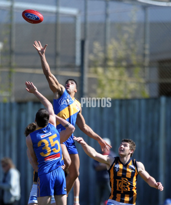 VFL 2012 1st Elimination Final - Williamstown v Bendigo - 268518