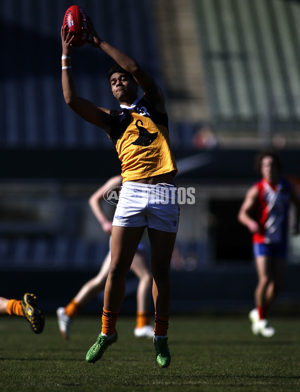 TAC 2012 2nd Qualifying Final - Gippsland Power v Dandenong Stingrays - 268534