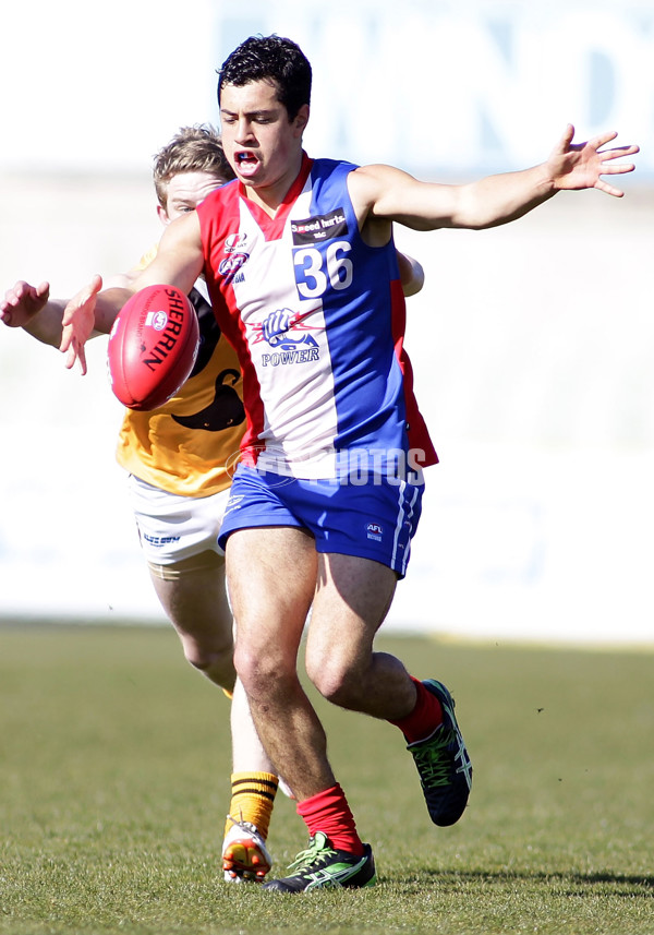 TAC 2012 2nd Qualifying Final - Gippsland Power v Dandenong Stingrays - 268533