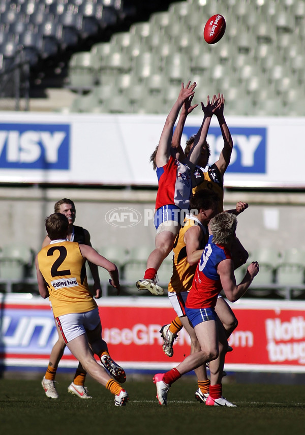 TAC 2012 2nd Qualifying Final - Gippsland Power v Dandenong Stingrays - 268553