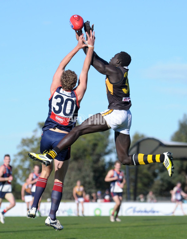 VFL 2012 1st Qualifying Final - Casey Scorpions v Werribee Tigers - 268902