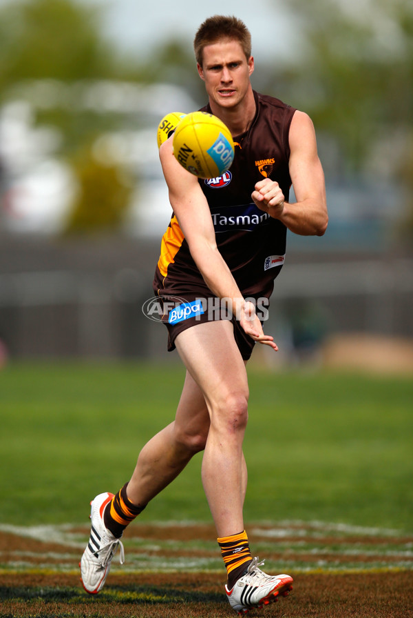 AFL 2012 Training - Hawthorn 060912 - 269103