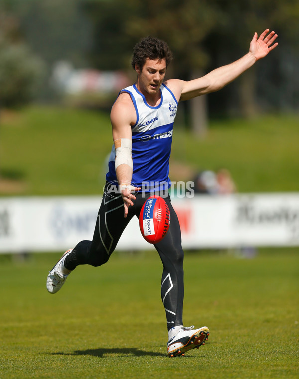 AFL 2012 Training - North Melbourne 060912 - 269130