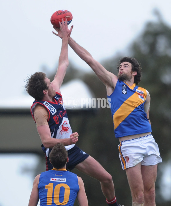 VFL 2012 1st Semi Final - Casey Scorpions v Williamstown - 269330