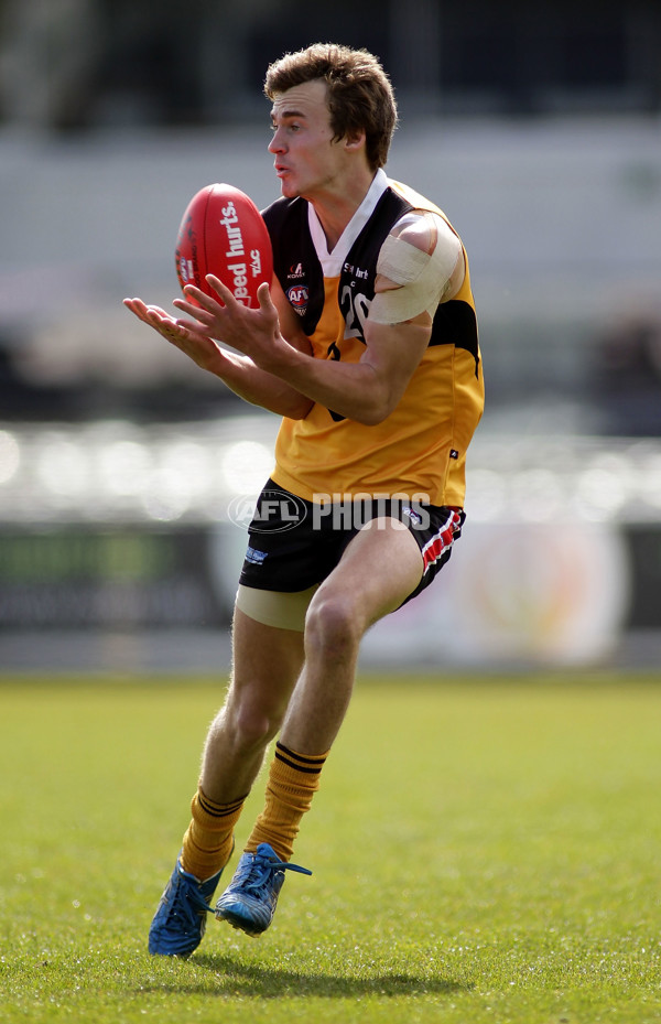 TAC 2012 2nd Semi Final - Dandenong Stingrays v Oakleigh Chargers - 269489