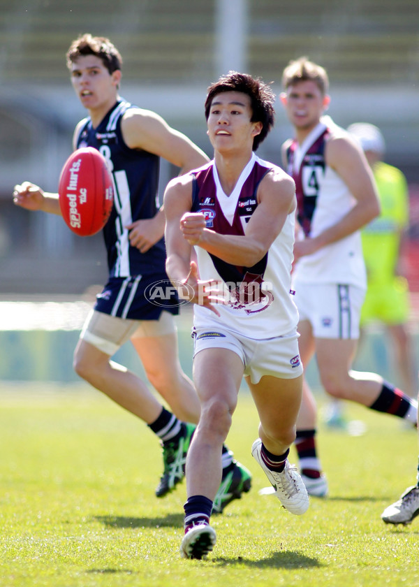 TAC 2012 1st Semi Final - Sandringham Dragons v Geelong Falcons - 269515