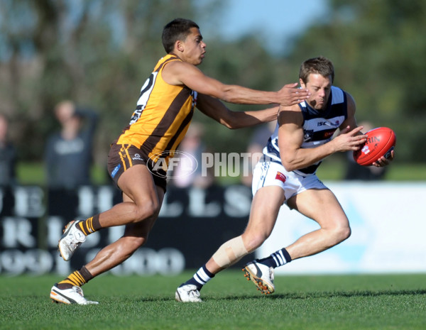 VFL 2012 2nd Semi Final - Geelong Cats v Box Hill Hawks - 269604