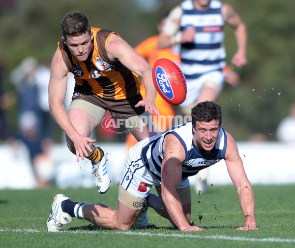 VFL 2012 2nd Semi Final - Geelong Cats v Box Hill Hawks - 269608