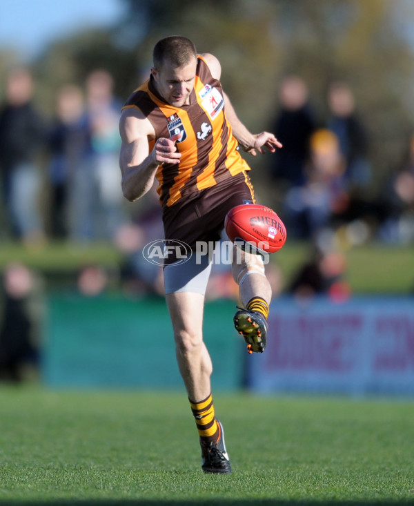 VFL 2012 2nd Semi Final - Geelong Cats v Box Hill Hawks - 269599